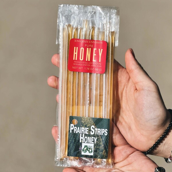 Iowa State University Prairie Strip 10-Pack Honey Straws
